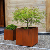 Photo of Campania Steel Cube Planter - Steel - Set of 2 - Exclusively Campania